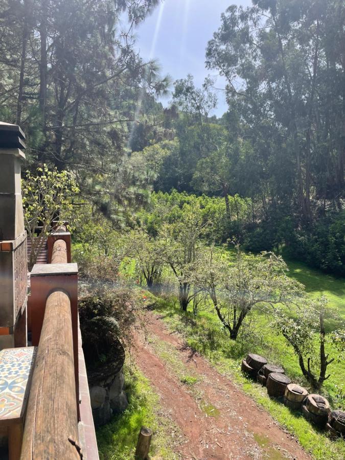 Casa Rural En Medio Del Bosque, El Lance Firgas Exterior foto