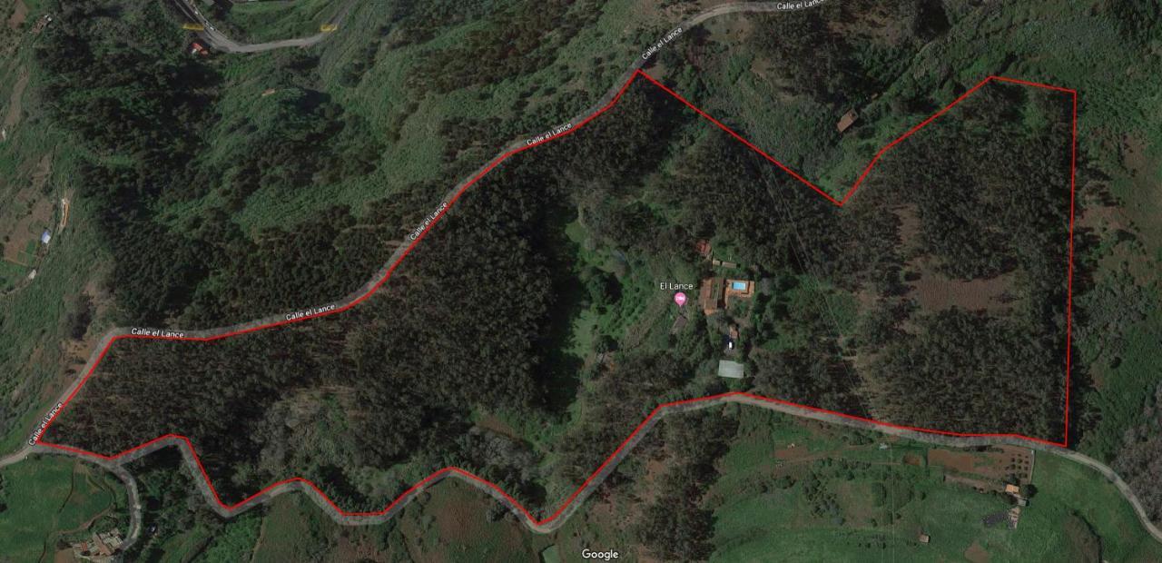 Casa Rural En Medio Del Bosque, El Lance Firgas Exterior foto